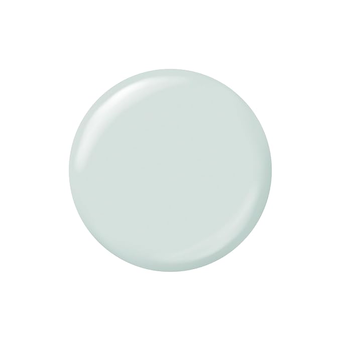 Sally Hansen Insta-Dri Nail Polish 