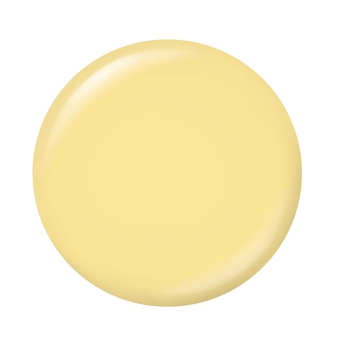 Sally Hansen Insta-Dri Nail Polish 